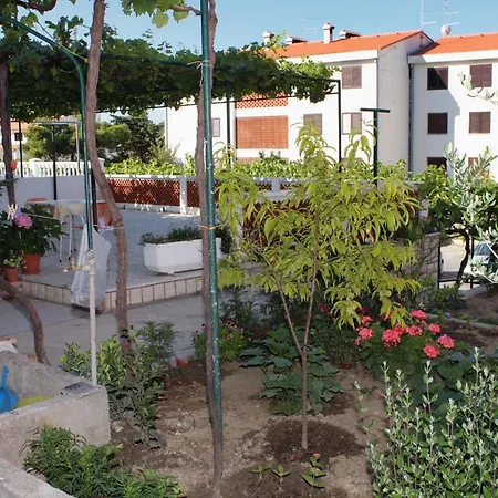 Affittacamere And With Parking Space Palit, Rab - 5061