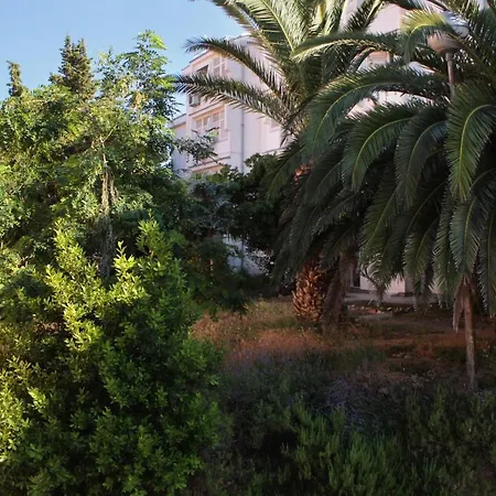 And With Parking Space Palit, Rab - 5061 3* Palit